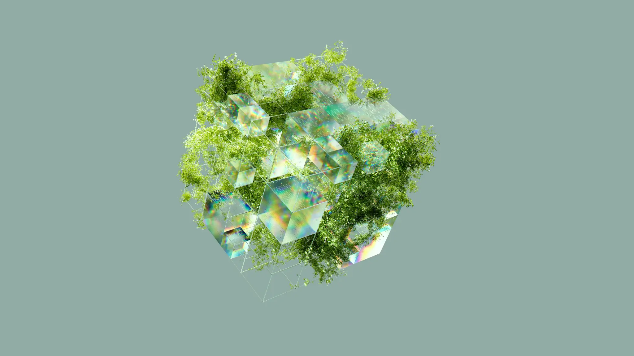 portfolio-6