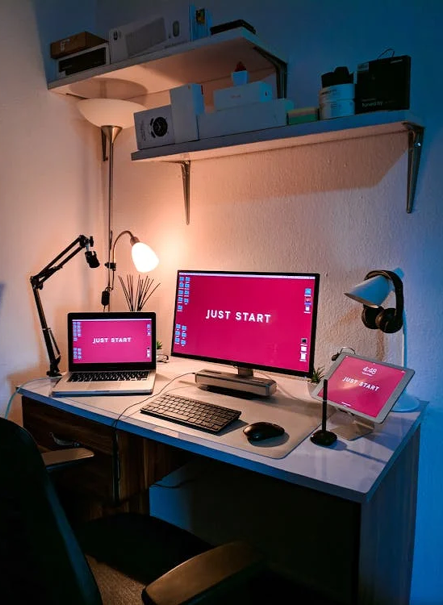 portfolio