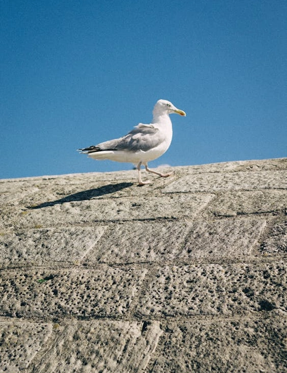 creative design studio