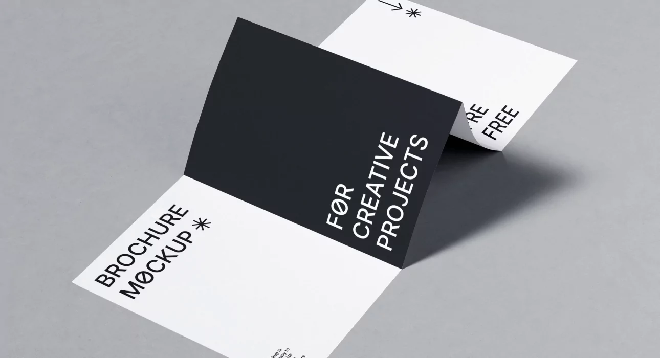portfolio-details