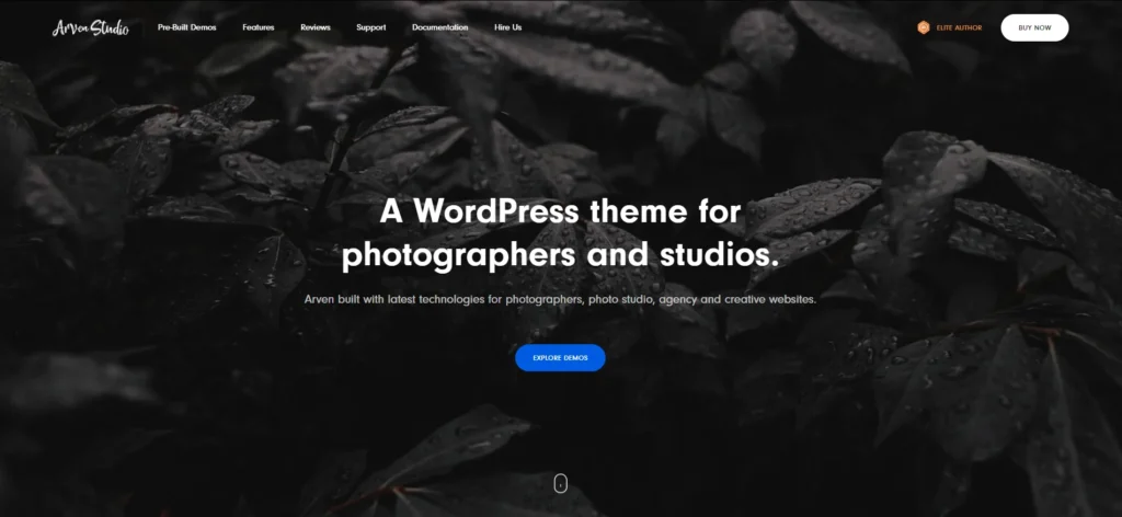 Arven top-rated photography WordPress themes