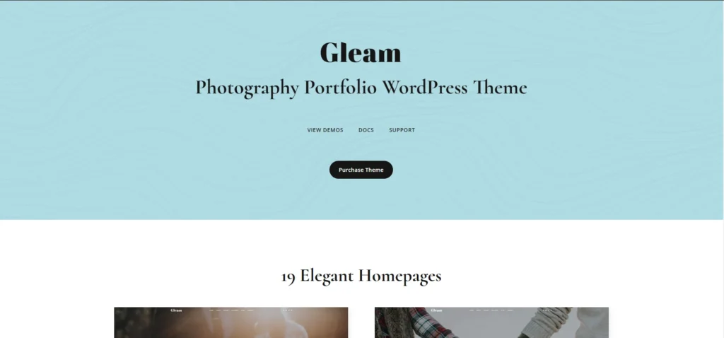 Gleam multi-functional photography WordPress theme