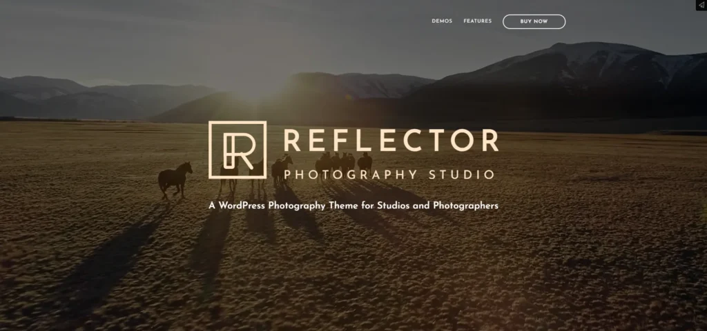 Reflector best photo studio themes