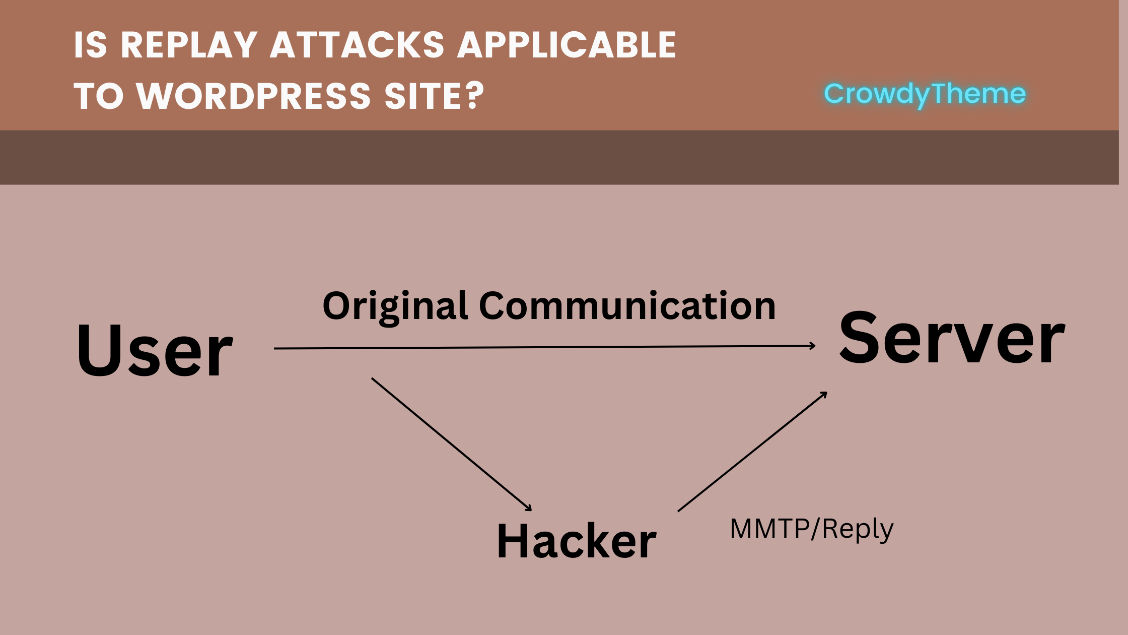 Is Replay Attacks Applicable To WordPress Site? Guide to Prevent It