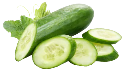 cucumber